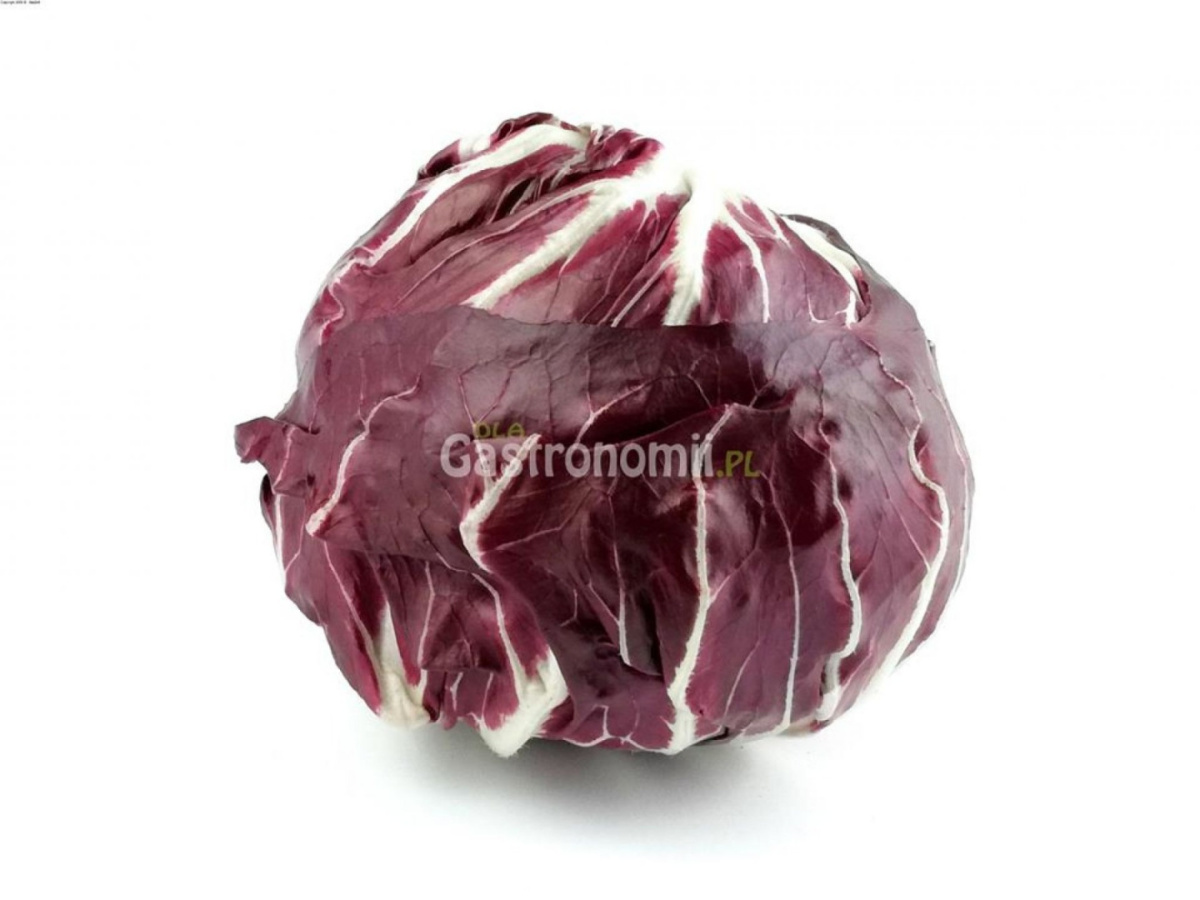 Sałata radicchio 1 sztuka Sałata radicchio 1 sztuka